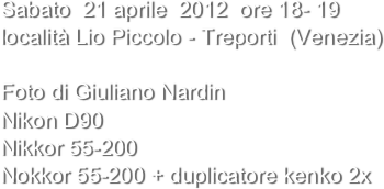 Sabato  21 aprile  2012  ore 18- 19
località Lio Piccolo - Treporti  (Venezia)

Foto di Giuliano Nardin 
Nikon D90
Nikkor 55-200
Nokkor 55-200 + duplicatore kenko 2x