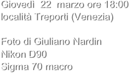 Giovedì  22  marzo ore 18:00 
località Treporti (Venezia)

Foto di Giuliano Nardin 
Nikon D90
Sigma 70 macro